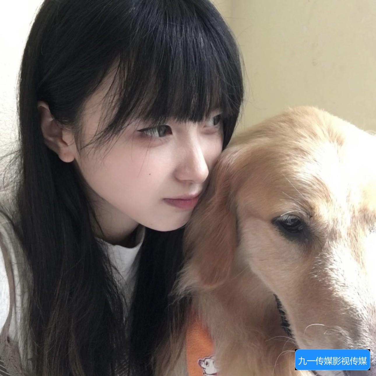 九一传媒影视传媒免费版官网有哪些功能和使用方法介绍